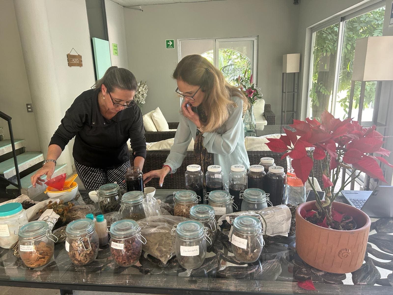 Jars of herbal remedies laid out for the indigenous medicine session