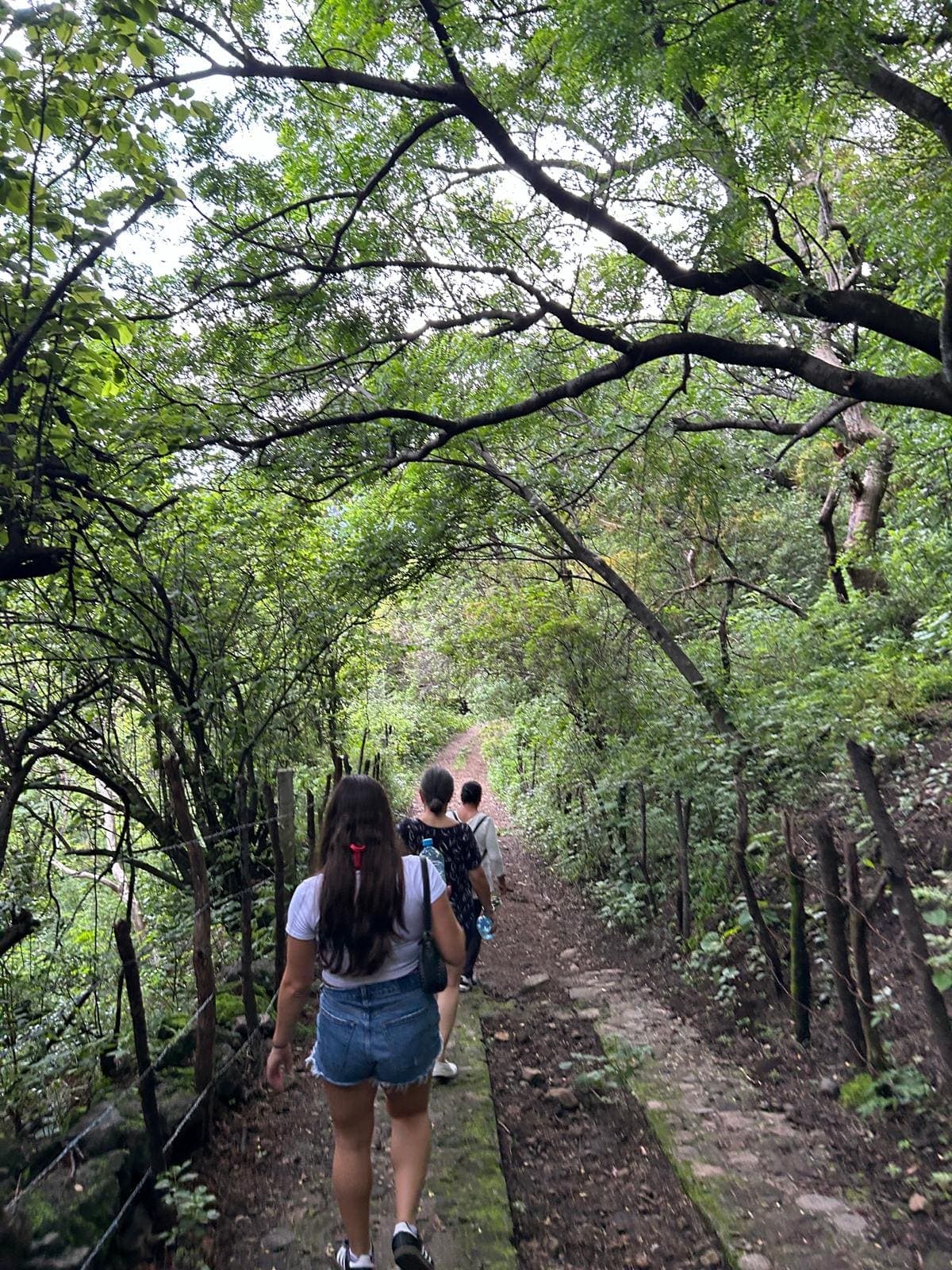 Hikers on a forest trail above Tepoztlán